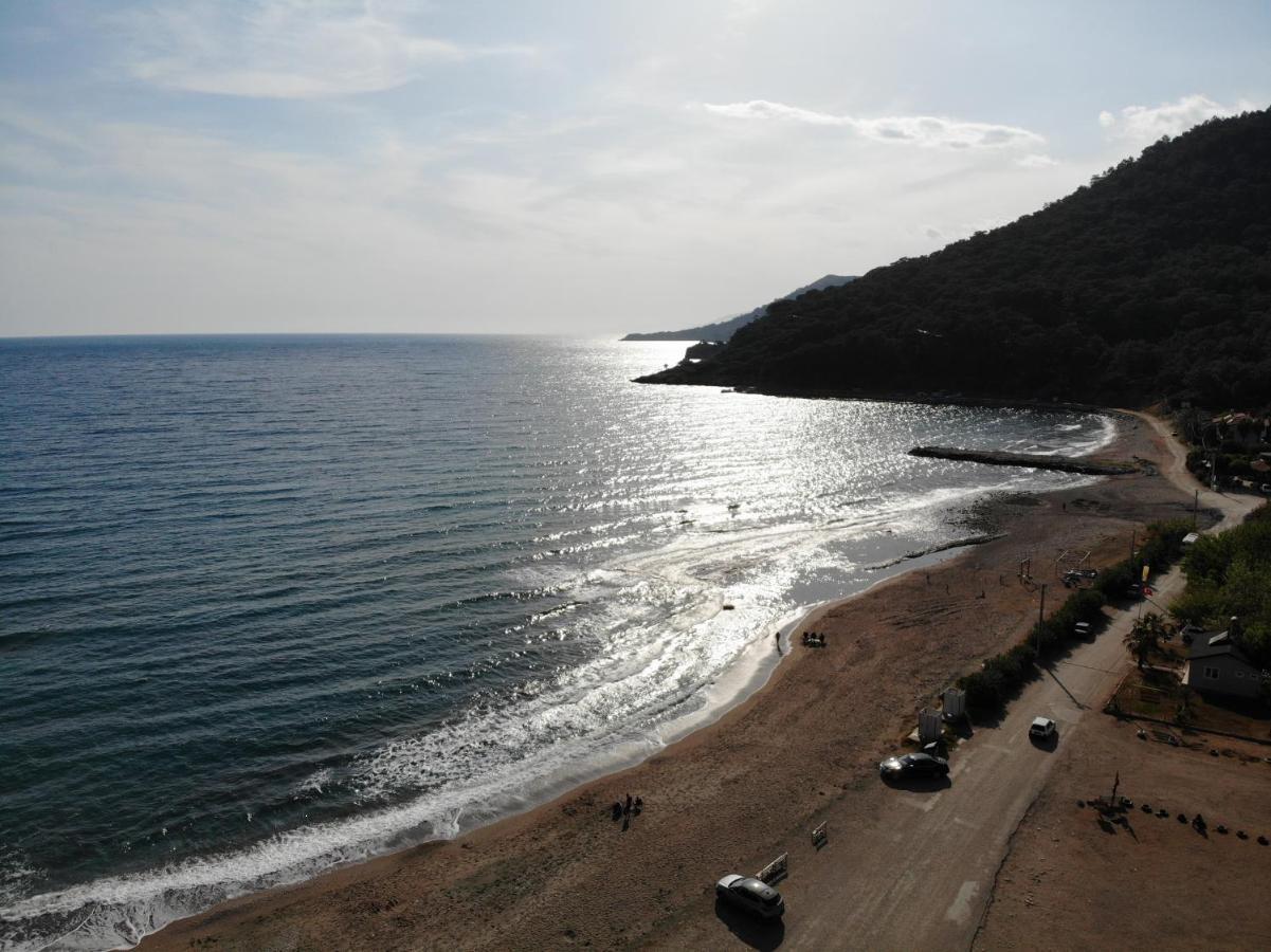 Hurmalik Apart Evleri-Very Close To The Sea Large Garden Bungalow With Barbecue And Swing Karaoz Exteriör bild