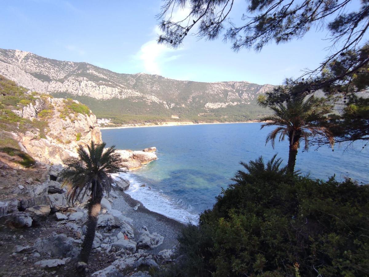 Hurmalik Apart Evleri-Very Close To The Sea Large Garden Bungalow With Barbecue And Swing Karaoz Exteriör bild
